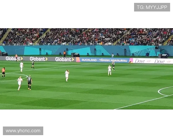 国际足联世界杯场馆草坪根系固土技术